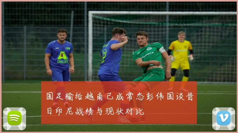国足输给越南已成常态彭伟国谈昔日印尼战绩与现状对比