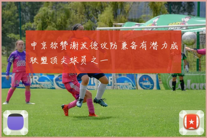 申京称赞谢泼德攻防兼备有潜力成联盟顶尖球员之一